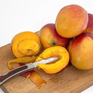 mango-tropical-fruit-juicy-sweet-39303-39303.jpg