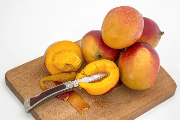 mango-tropical-fruit-juicy-sweet-39303-39303.jpg